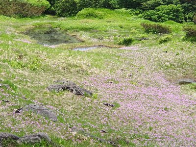 s-P7211087.jpg (175.99 KiB) 閲覧された回数 4198 回 期待以上!