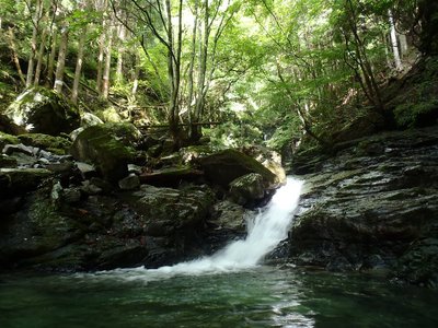 ナズナさん、ドボンの斜瀑