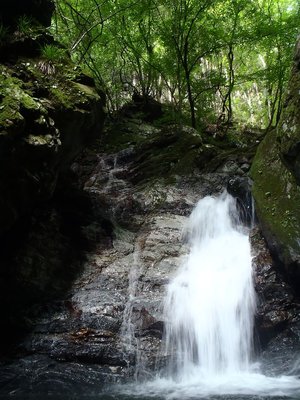 左のチョロチョロを登る。フー