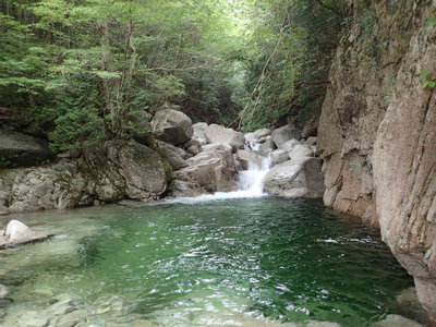 P8280014.jpg (98.71 KiB) 閲覧された回数 4333 回 美しいエメラルドグリーンの淵