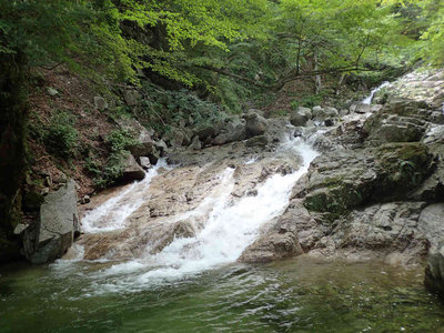 P8280039.jpg (102.57 KiB) 閲覧された回数 4342 回 赤坂谷のハイライト