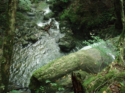 トラバースでここへ出てきます