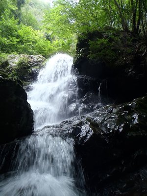 不動滝の次の滝