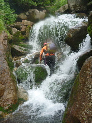 ふ～さん悶絶の苔滝
