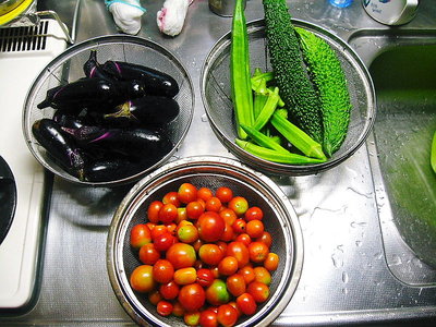 ● 毎日たくさん採れるのよ、これも世話したご褒美だね