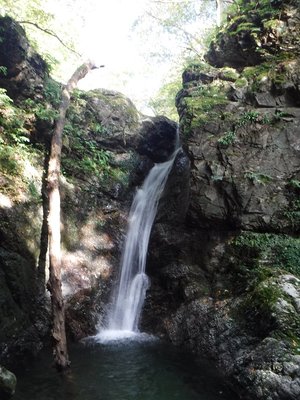 カジロ谷８ｍ滝