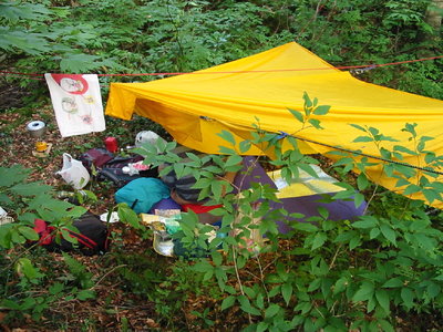 真夏はこれもあり。虫に弱い人はダメだけど・・・