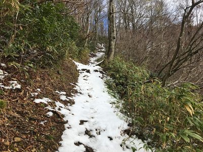 IMG_7498.jpg (877.88 KiB) 閲覧された回数 7394 回 登山道(巡視路)