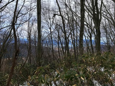 分かりにくいけど、樹林の向こうに敦賀湾。