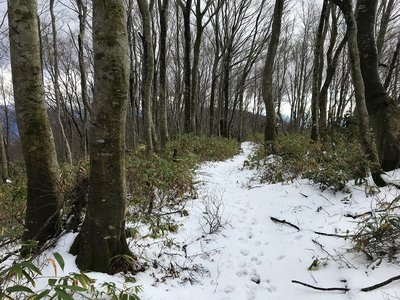 IMG_7512.jpg (796.66 KiB) 閲覧された回数 7760 回 稜線の道