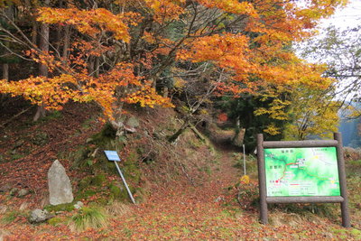 知井坂の登山口