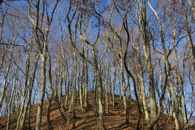 タケガダン直下の登り