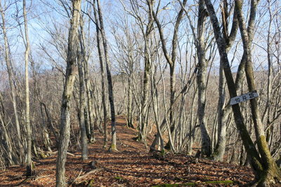 オバタケダンから知井坂へ向かう