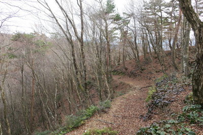 林道も悪くない