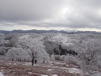 あそこに幽霊ならぬ幽霊歩き発見！