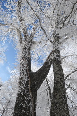 一瞬覗いた青空