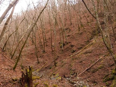 山日和さんの登った尾根