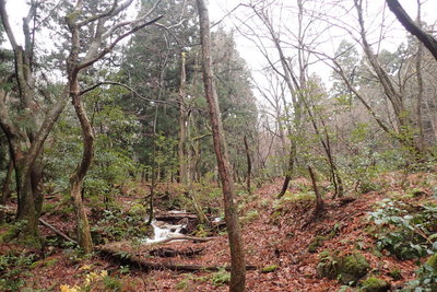 典型的な里山の谷の様相