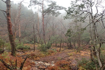 不自然な段差が気になった
