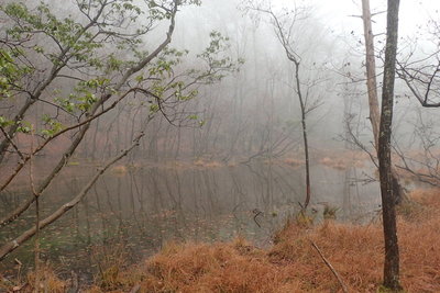 そこそこの池もある