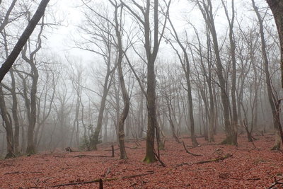 この左奥に五位川への流れが急激に落ち込んでいる