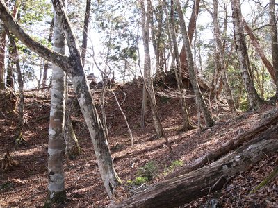 IMG_2483.JPG (372.69 KiB) 閲覧された回数 30607 回 トラバースしていく道跡