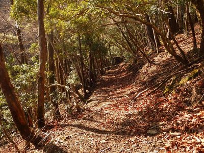 地蔵谷の頭下の広場から東側を巻いている杣道