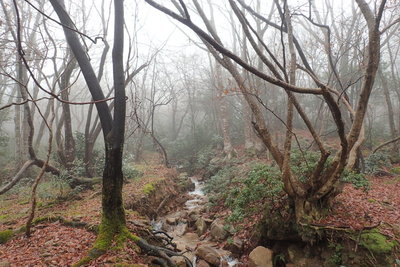 峠の手前で流れは右へ向かう