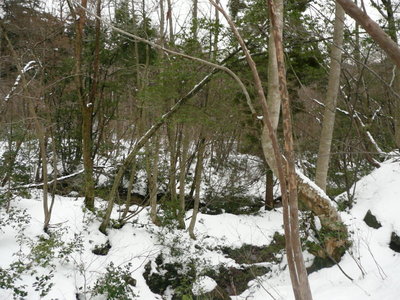 10年前の冬の谷間