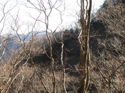 IMG_2480.JPG (356.73 KiB) 閲覧された回数 28946 回 瀬戸越手前の尾根