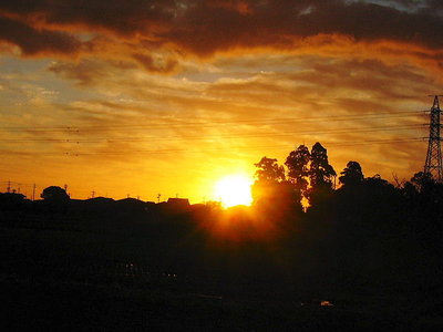 ● 台風後の朝日だ、お山でネンネで帰りました。