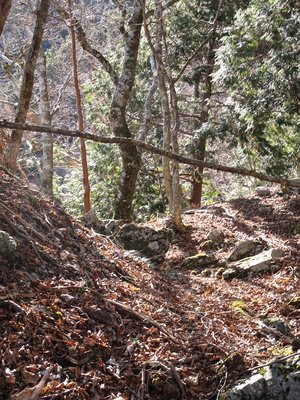 IMG_2478.JPG (377.67 KiB) 閲覧された回数 29648 回 トラバース地点