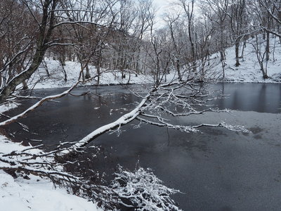 PC258606.JPG (3.65 MiB) 閲覧された回数 5116 回 音羽池