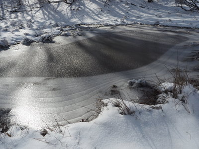 PC258626.JPG (3.58 MiB) 閲覧された回数 4836 回 カラスゴ池