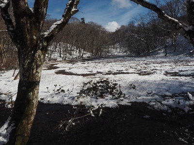 PC258637.JPG (3.15 MiB) 閲覧された回数 4837 回 長池