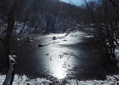 池の反対側より