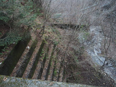 すぐ下（右上）に道が見えるのに<br />左岸の段差は一つが2m程
