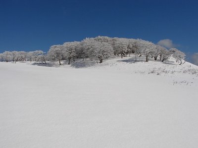 2009.1.25土倉岳経由で登りついて目にした光景