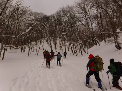 ひざ下まで潜らせながら歩く人が1名。