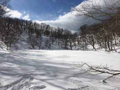 昨年の厳冬期（池の中央より）