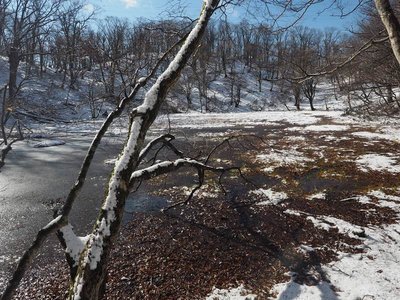 初冬の長池（池の中央より）