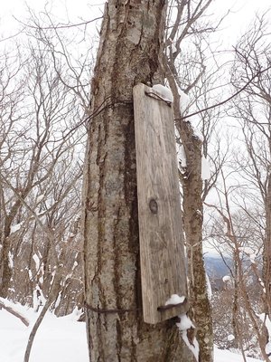 まったく文字は無いと思ったけど、言われると浮かび上がりました