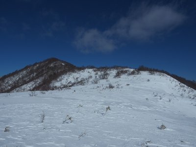 P1138664ss.jpg (125.72 KiB) 閲覧された回数 5355 回 上谷山への稜線