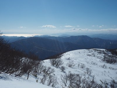 P1138678ss.jpg (144.46 KiB) 閲覧された回数 5047 回 上谷山への登りから稜線上のわしたかさんを