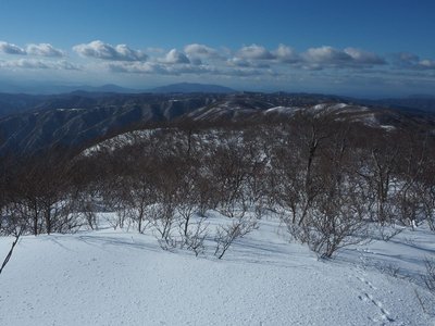 P1138700ss.jpg (142.22 KiB) 閲覧された回数 5051 回 上谷山から江越国境稜線を望む<br />左手には下山予定の鉄塔尾根