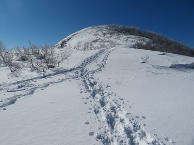 鞍部に戻ってきました