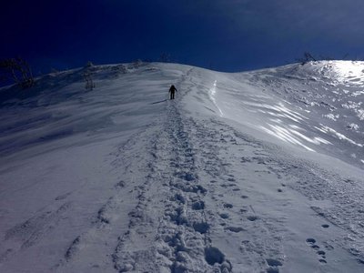 大長山への直登コースを登っています－見た目より傾斜があります