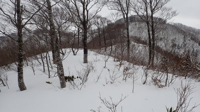 P1191759.JPG (3.06 MiB) 閲覧された回数 4583 回 神又峰三角点峰