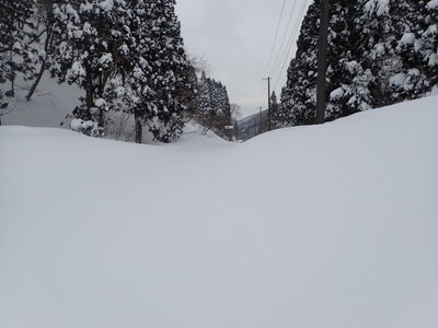 峠から北を見る