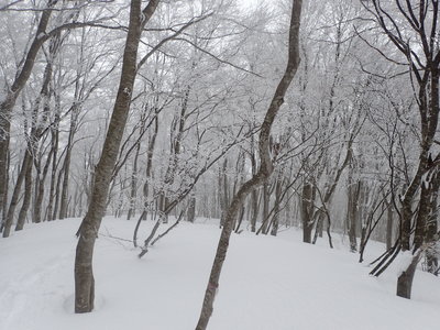 大黒山山頂辺り